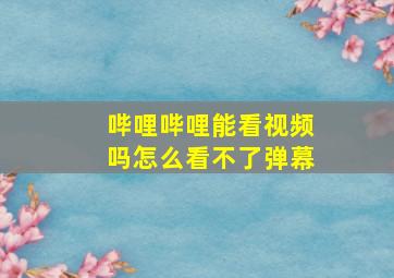 哔哩哔哩能看视频吗怎么看不了弹幕