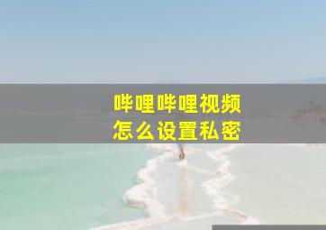 哔哩哔哩视频怎么设置私密