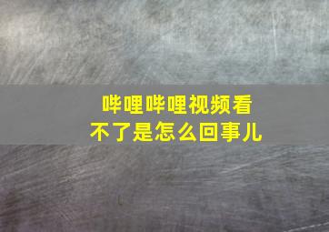 哔哩哔哩视频看不了是怎么回事儿