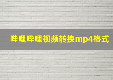 哔哩哔哩视频转换mp4格式