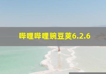 哔哩哔哩豌豆荚6.2.6