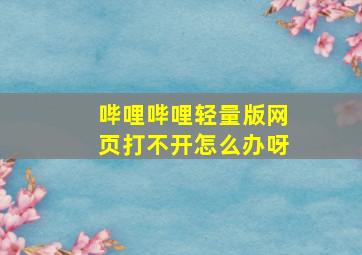 哔哩哔哩轻量版网页打不开怎么办呀