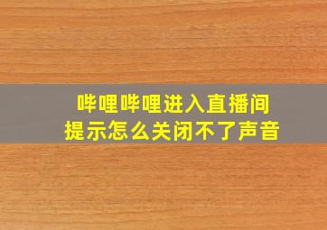 哔哩哔哩进入直播间提示怎么关闭不了声音