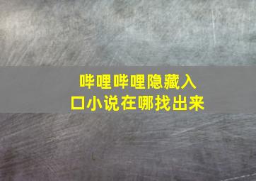 哔哩哔哩隐藏入口小说在哪找出来