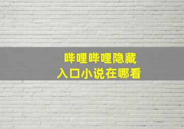 哔哩哔哩隐藏入口小说在哪看