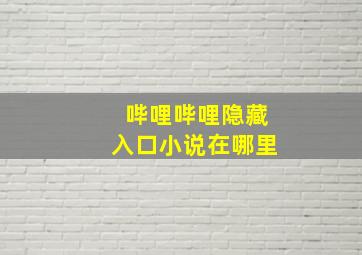 哔哩哔哩隐藏入口小说在哪里