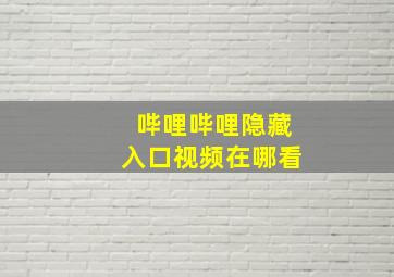 哔哩哔哩隐藏入口视频在哪看