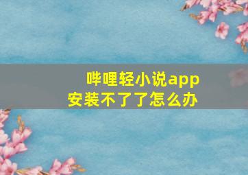 哔哩轻小说app安装不了了怎么办