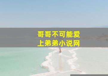 哥哥不可能爱上弟弟小说网