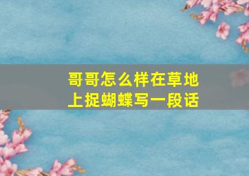 哥哥怎么样在草地上捉蝴蝶写一段话