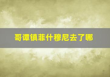 哥谭镇菲什穆尼去了哪