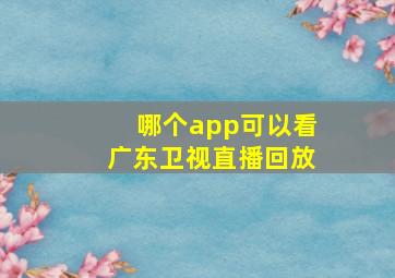 哪个app可以看广东卫视直播回放