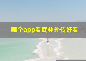 哪个app看武林外传好看