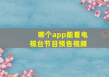 哪个app能看电视台节目预告视频