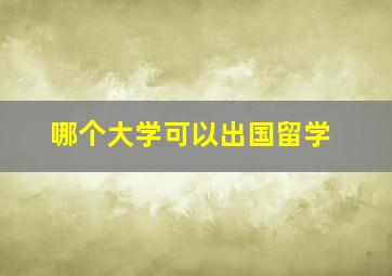 哪个大学可以出国留学