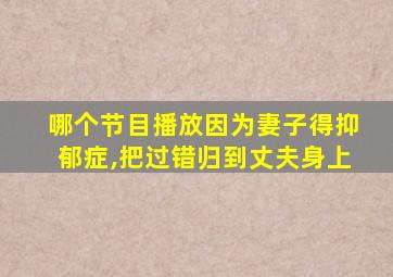 哪个节目播放因为妻子得抑郁症,把过错归到丈夫身上