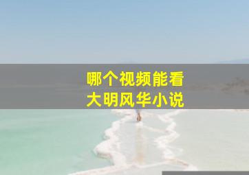 哪个视频能看大明风华小说