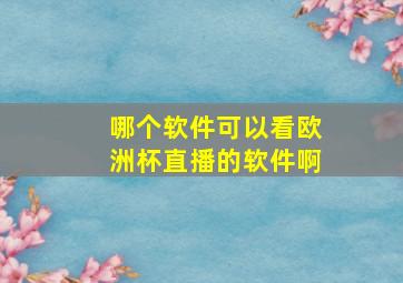 哪个软件可以看欧洲杯直播的软件啊