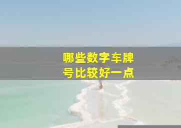 哪些数字车牌号比较好一点