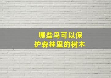 哪些鸟可以保护森林里的树木