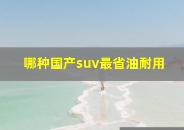 哪种国产suv最省油耐用