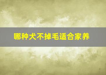 哪种犬不掉毛适合家养