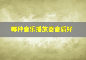 哪种音乐播放器音质好