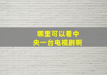 哪里可以看中央一台电视剧啊