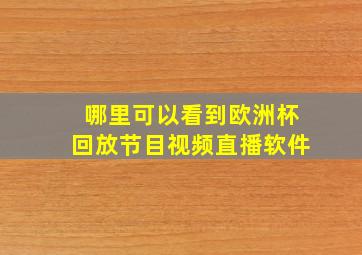 哪里可以看到欧洲杯回放节目视频直播软件