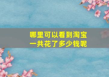 哪里可以看到淘宝一共花了多少钱呢