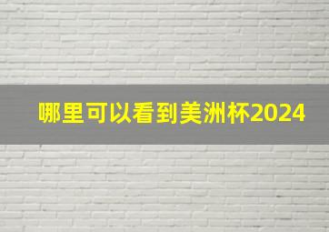 哪里可以看到美洲杯2024