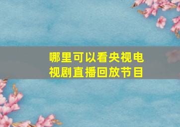 哪里可以看央视电视剧直播回放节目