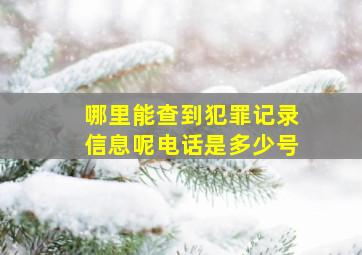 哪里能查到犯罪记录信息呢电话是多少号