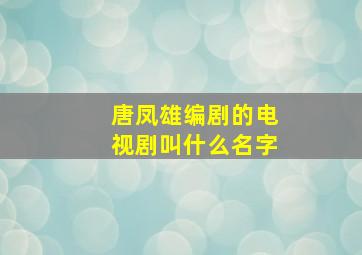 唐凤雄编剧的电视剧叫什么名字