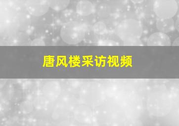 唐风楼采访视频