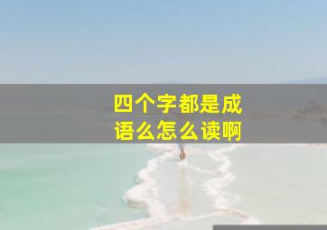 四个字都是成语么怎么读啊