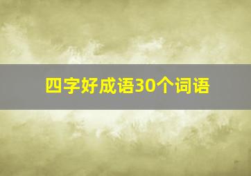 四字好成语30个词语