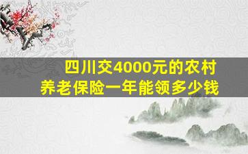 四川交4000元的农村养老保险一年能领多少钱