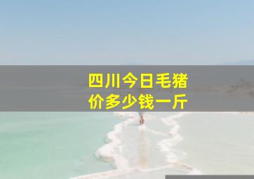 四川今日毛猪价多少钱一斤