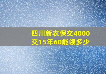 四川新农保交4000交15年60能领多少