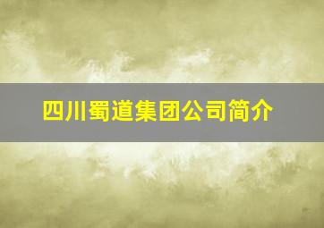 四川蜀道集团公司简介