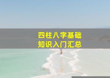 四柱八字基础知识入门汇总