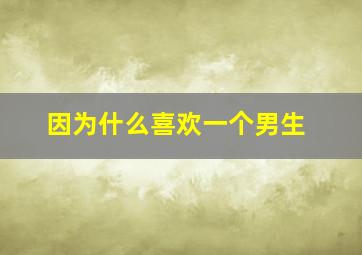 因为什么喜欢一个男生