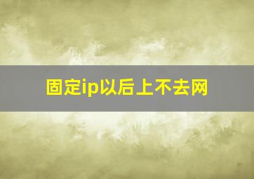 固定ip以后上不去网