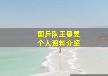 国乒队王曼昱个人资料介绍