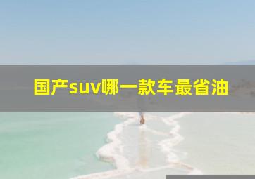 国产suv哪一款车最省油