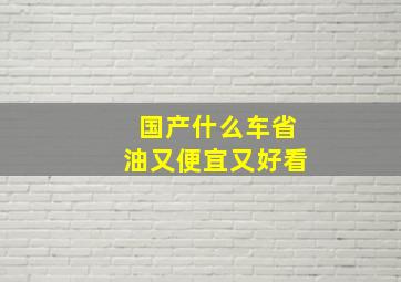 国产什么车省油又便宜又好看