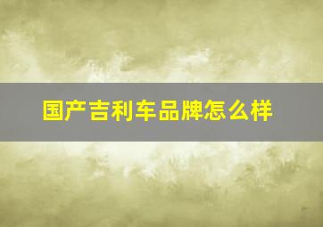 国产吉利车品牌怎么样