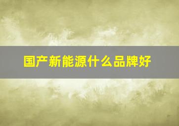 国产新能源什么品牌好