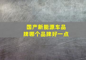 国产新能源车品牌哪个品牌好一点